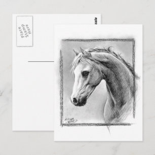 Carte Postale Tête de cheval Dessin de Charbon de l'équine