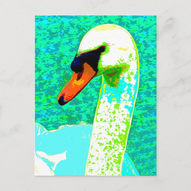Carte Postale Tête de cygne blanche majestueuse (Devant)