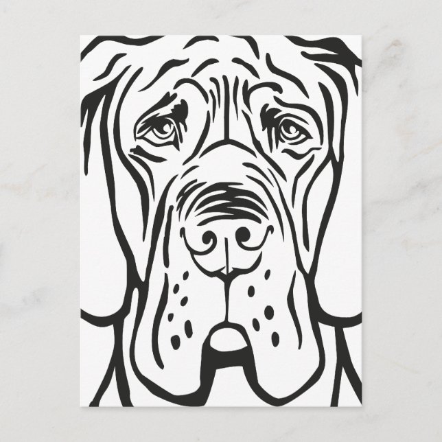 Carte Postale Tête de Dogue Allemand (Devant)