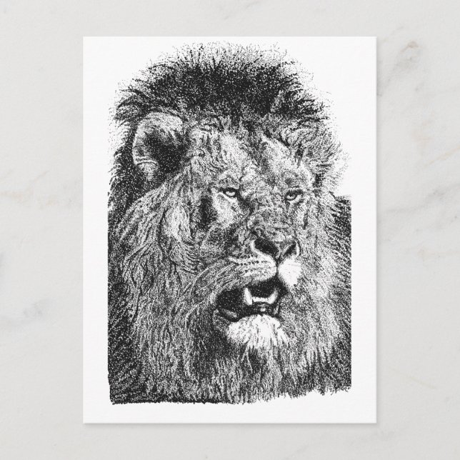 Carte Postale Tête de lion Impression Noir Blanc Art faunique (Devant)