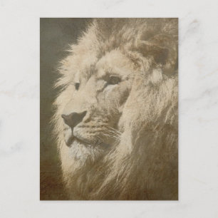Carte Postale Tête de lion le roi Moderne Modèle d'art pop Anima