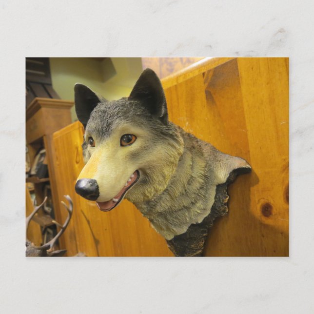 Carte Postale Tête de loup décoratif (Devant)