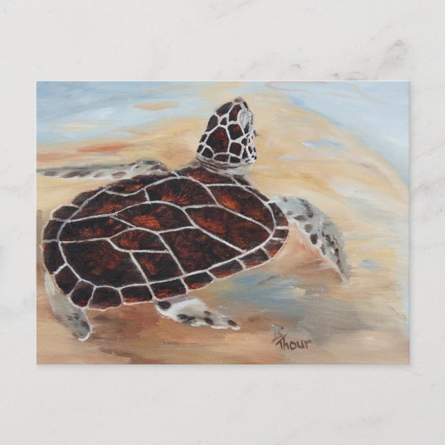 Carte postale Tête de tortue (Devant)
