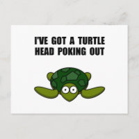Tête de tortue arrachée