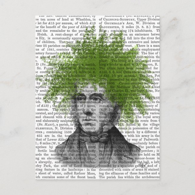 Carte Postale Tête du Plante Asparagus Fern (Devant)