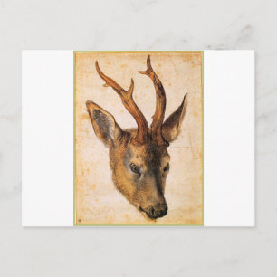 Carte Postale Tête d'un Stag par Albrecht Durer