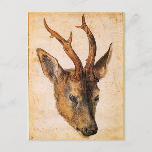 Carte Postale Tête d'un Stag par Albrecht Durer (Devant)