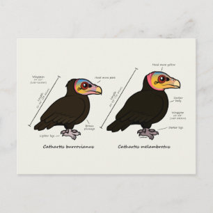 Carte Postale Tête jaune Grand v Petit