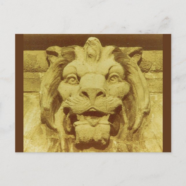 Carte postale - Tête Lions (Devant)