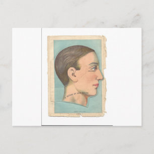 Carte Postale Tête photo d'anatomie vintage