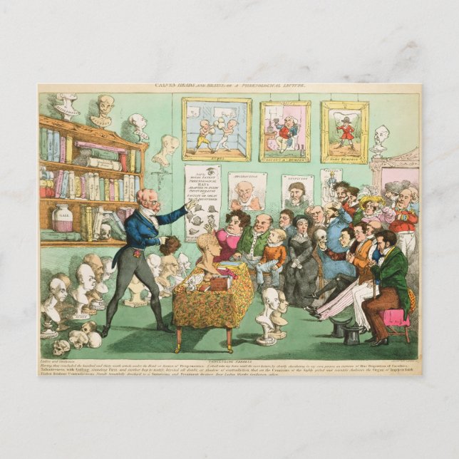 Carte Postale Têtes et cerveaux de veaux ; une conférence phréno (Devant)