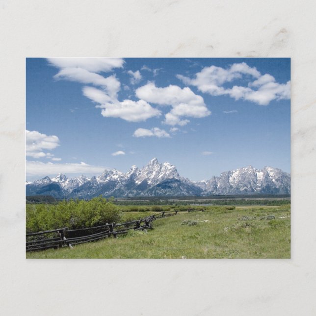 Carte postale Teton Fence (Devant)
