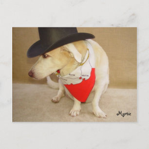 Carte postale Texan Myrtie