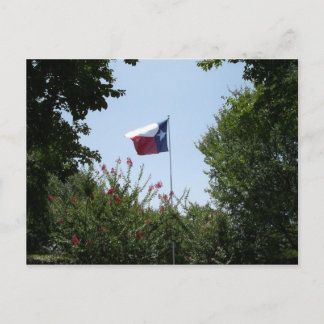 Carte postale Texas Flag
