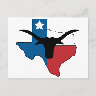 Carte Postale Texas Longhorn