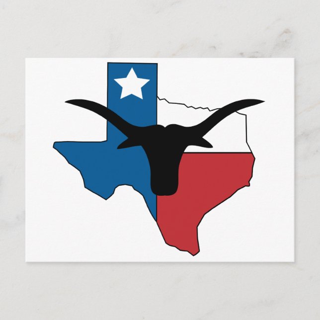 Carte Postale Texas Longhorn (Devant)
