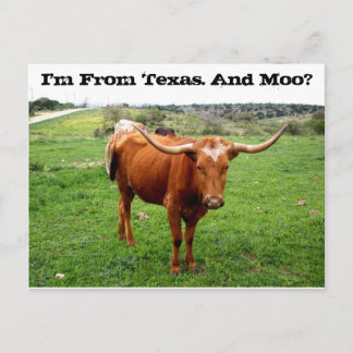 Carte Postale Texas Longhorn Avec Drôle Texas Dit