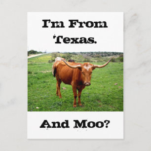 Carte Postale Texas Longhorn With Funny Texas Saying