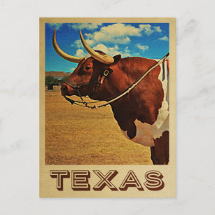 Carte Postale Texas Postcard Bull Vintage voyage Cattle Ranch