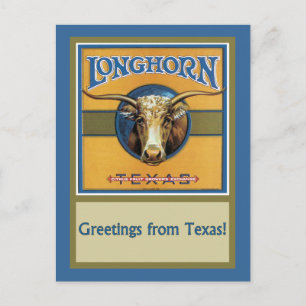 Carte Postale Texas Steer Longhorn