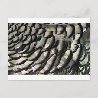 CARTE POSTALE TEXTE DE LA PLUIE