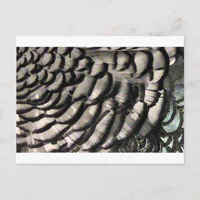 CARTE POSTALE TEXTE DE LA PLUIE (Devant)