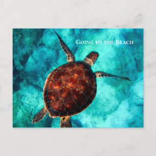 Carte Postale Texte personnalisé Grande tortue de mer Eaux bleue