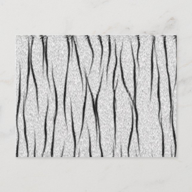 Carte Postale texture blanche du tigre (Devant)