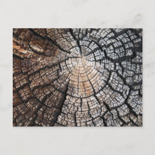Carte Postale texture cool en bois ancien