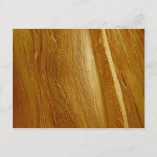Carte Postale Texture de faux bois de pin II