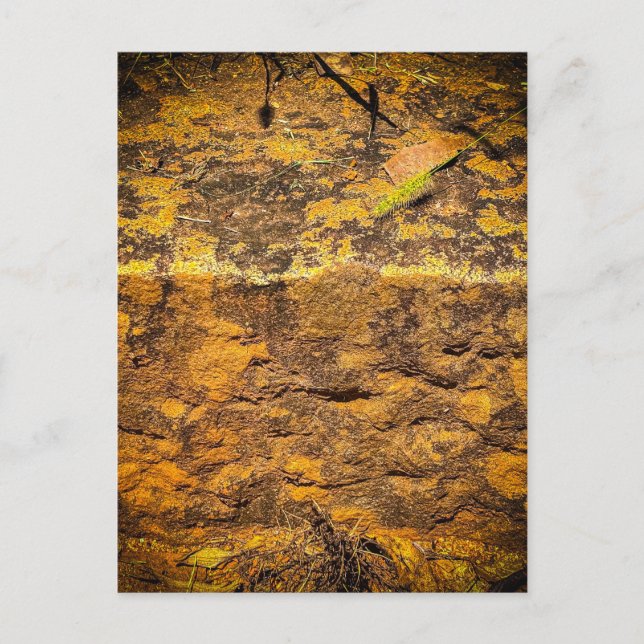 Carte Postale Texture de roche moussue chaude (Devant)