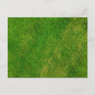 Carte Postale Texture d'herbe verte