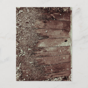 Carte Postale Texture Rustique près de Milledgeville Géorgie