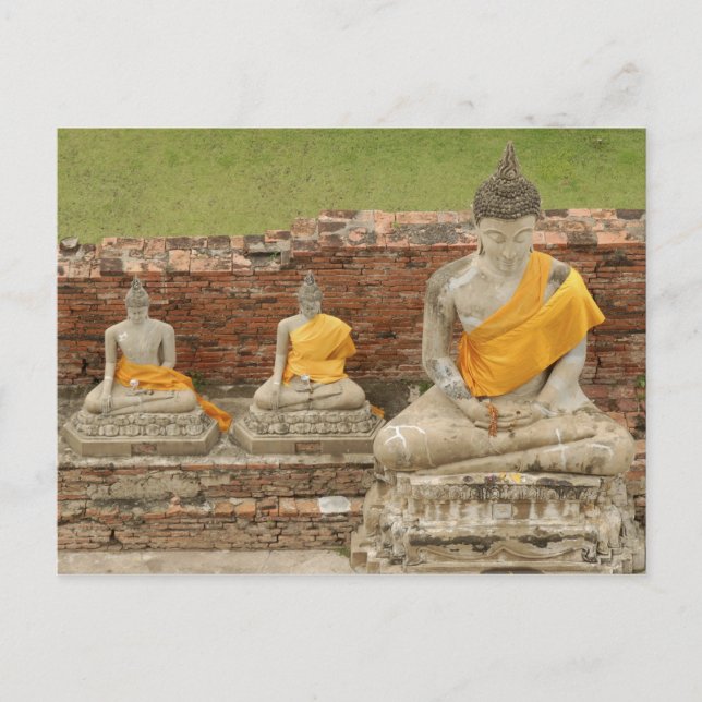 Carte Postale Thaïlande, Ayutthaya. Statues de bouddhas assis (Devant)