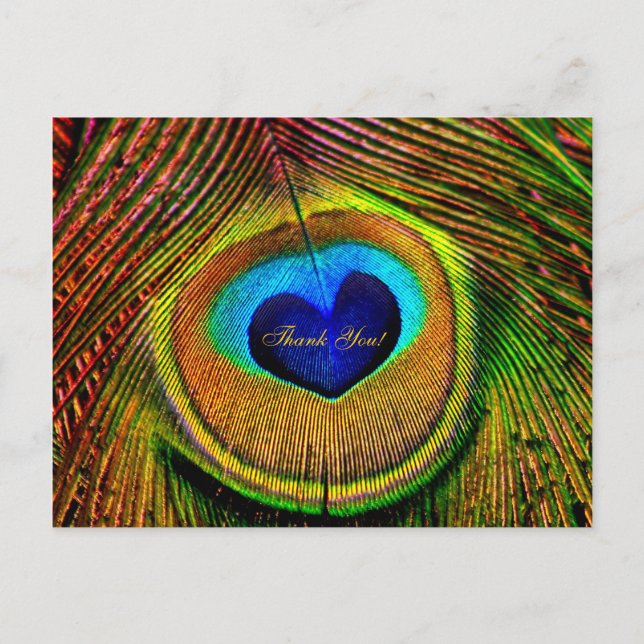 Carte Postale Thank You Peacock Feathers Eye of Love (Devant)