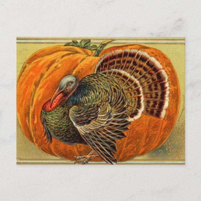 Carte Postale Thanksgiving vintage Turquie (Devant)