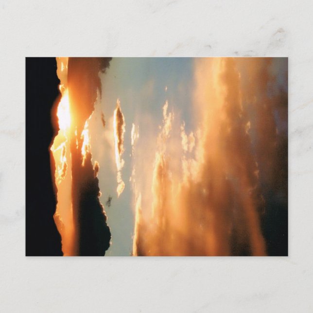 Carte Postale "The Arizona Show" (Devant)