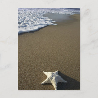 Carte Postale The Beach Post Card