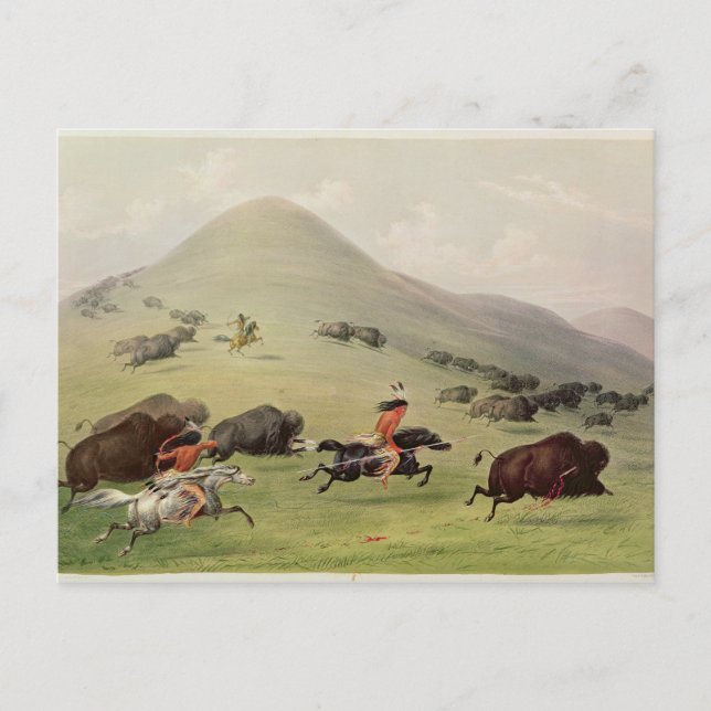 Carte Postale The Buffalo Hunt, c.1832 (Devant)