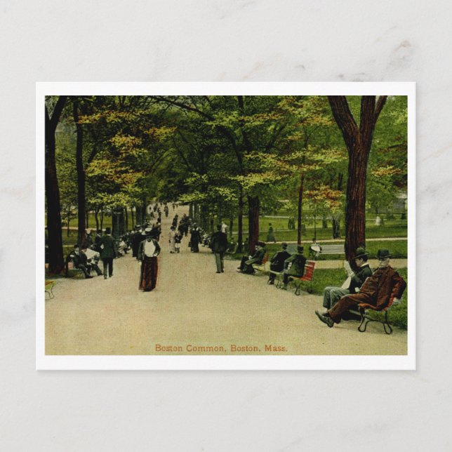 Carte Postale The Common, Boston, MA 1915 Vintage (Devant)