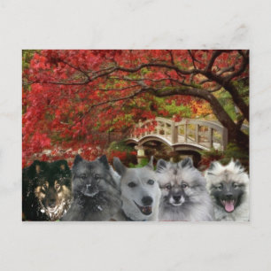 Carte Postale The Dogs of the Inn Postcard