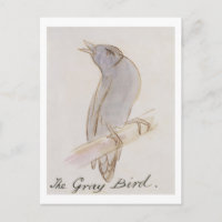 The Gray Bird, from 'Sixteen Drawings of Comic Bir