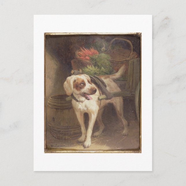 Carte Postale The Grocer's Dog (Devant)