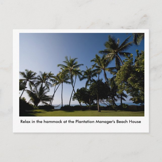 Carte Postale The hammock at the Plantation Manager's House (Devant)