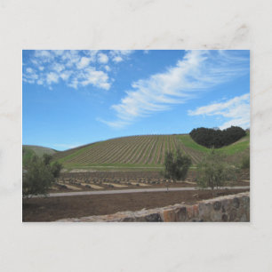 Carte Postale The Heart of Paso Robles Wine Country