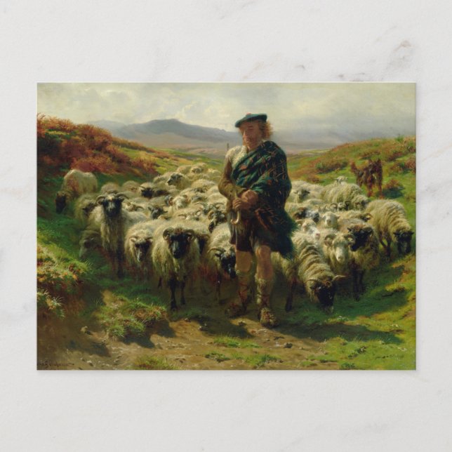 Carte Postale The Highland Shepherd par Rosa Bonheur Postcard (Devant)