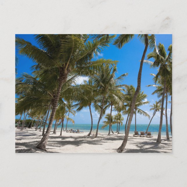 Carte Postale The Moorings Resort, Marathon, Key West, 2 is not  (Devant)