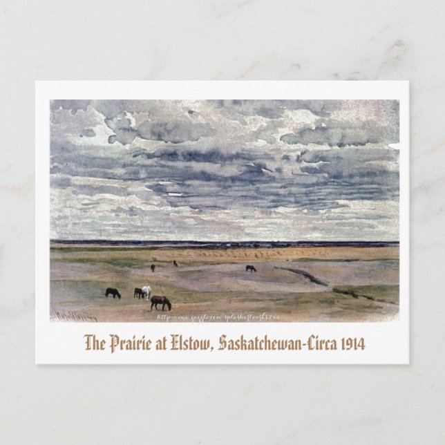 Carte Postale "The Prairie at Elstow, Saskatchewan-1914" (Devant)