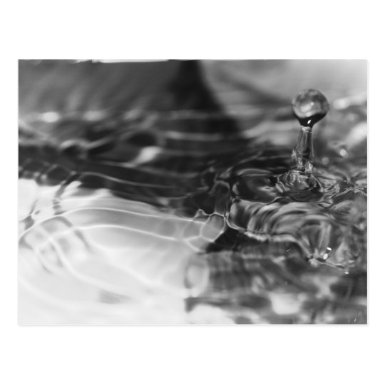 Carte Postale The pretty water