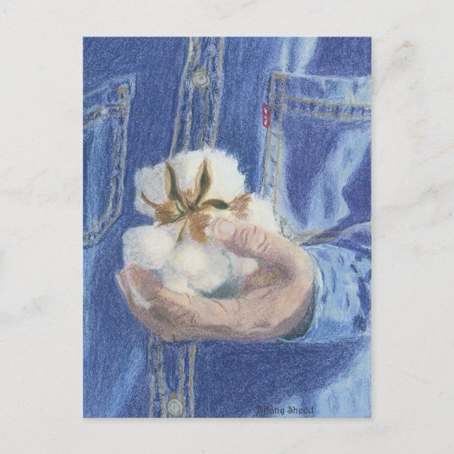 Carte Postale The Provider Post Card (Devant)